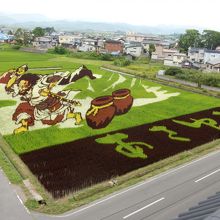 第一会場の田んぼアート（スサノオ）