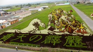 村役場横の文化会館からアートを見下ろします。