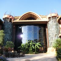 サバンナオーバールックから見るフロント