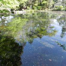 湧玉池