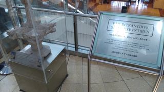 京急線から直結。羽田空港第二ターミナル