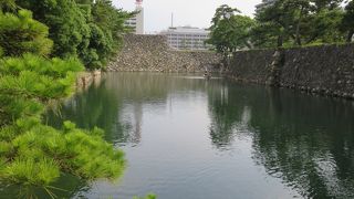 こぶりだが、とてもいい散歩コース。松がすばらしい！