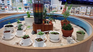 お得な情報が満載