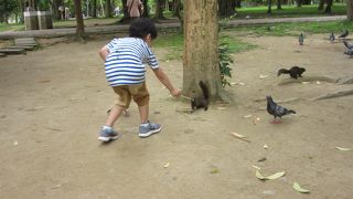 いいところです