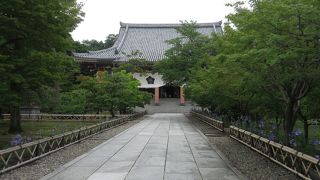 お花が溢れるお寺 ♪