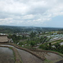 田園風景