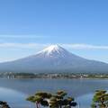 富士山の絶景が目の前に展開