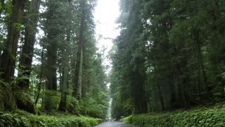 杉木立の間、東照宮の喧噪とは別の世界に