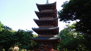 動物園の敷地内