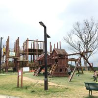 キャビンからすぐのアスレチック