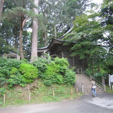 ９東物見台からの入口