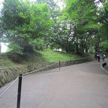 ２月見坂の石柱