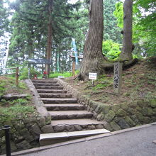 ５月見坂八幡堂への脇道