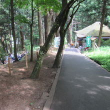 １０脇道と左側月見坂