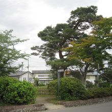 ６参道側からの入口