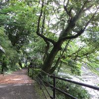 箱根の旧道に続く道