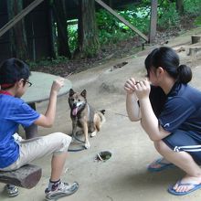 2015年、アスレチックの山頂でハナコと。穴掘りは減ったかな