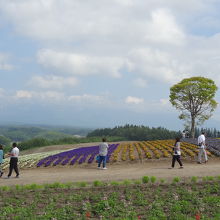 素晴らしい景色です