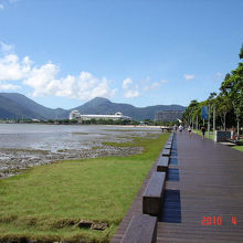 エスプラネードの木道部分の風景