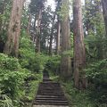 杉に囲まれた長い階段を降りた先にある森の中に佇む五重塔