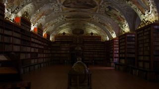 世界一美しい図書館の一つ