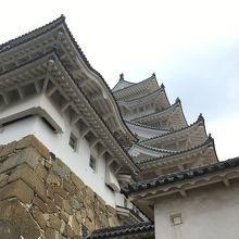 このフォルム美が凄い！