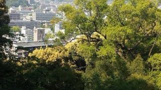 風が気持ち良かったです