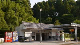 針葉樹の山と竹林