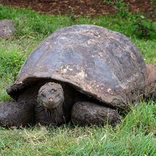 時々目が？合います