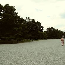 だ～れもいないなんて。。。まぁ　暑すぎましたけど