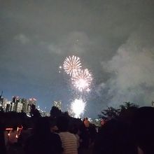 やや遠くから見た花火