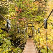  紅葉と　三本滝　吊り橋　見事です！！