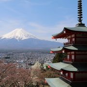 桜の時期に