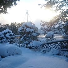 朝の部屋からの眺め