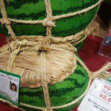 3L サイズのすいか