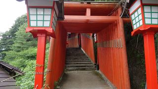 千本鳥居を登って行きます