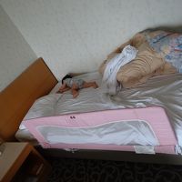 ベビーガード借りました