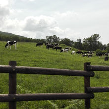 牧場の朝（１０時ですが、一応）