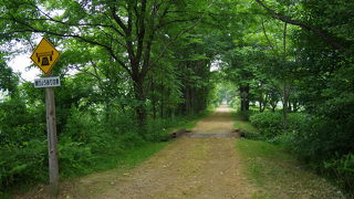 旧国鉄狩勝線跡を整備した散策路
