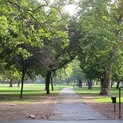 一日中遊べる広大な市民公園、大樹の中を散歩するだけでも気持ちが良い