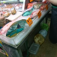 鮮やかで珍しい魚が一杯