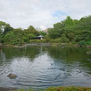 無料で楽しめる公園