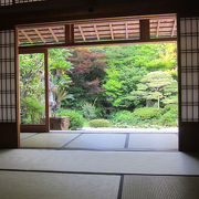 紫陽花の月照寺