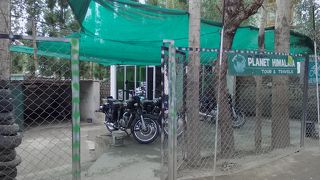 レーのレンタルバイク