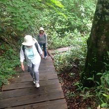 一ノ瀬から歩き始めます。すぐに登りのスタートです。