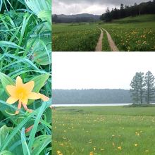 帰りは下りなので気が楽。お疲れ様でした。