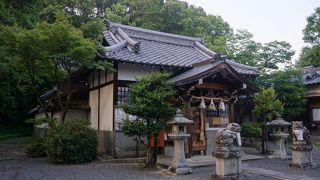 雅な感じがするエリアですが