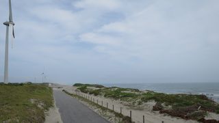 菊川の河口の西側に広がる海岸