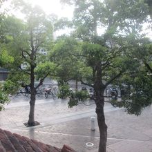 月島側の裏口近辺