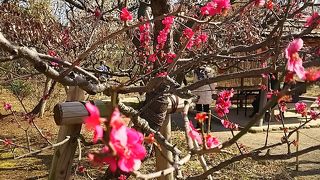 のんびりできます